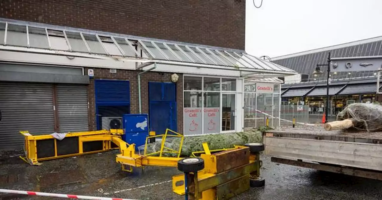 Screams heard as man putting up Christmas tree plunges from cherry picker