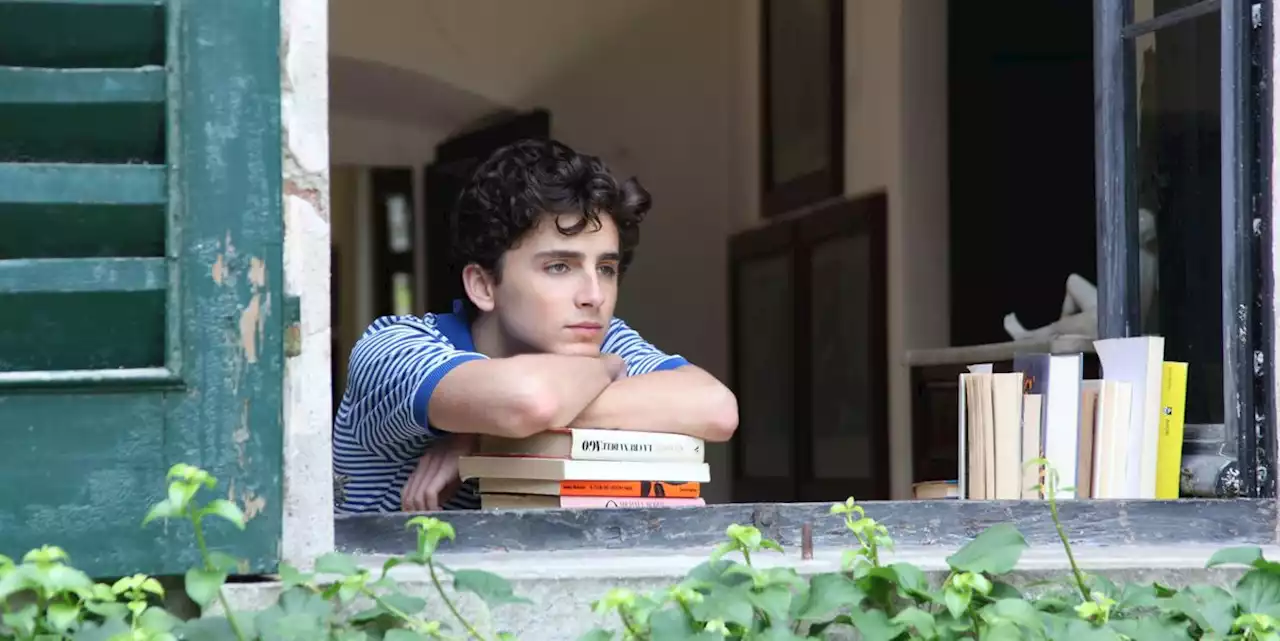 Every Single Timothée Chalamet Film Role, Ranked