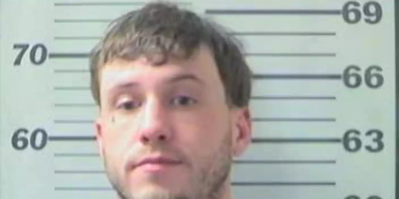 Citronelle man accused in fatal hit-and-run returns to Metro