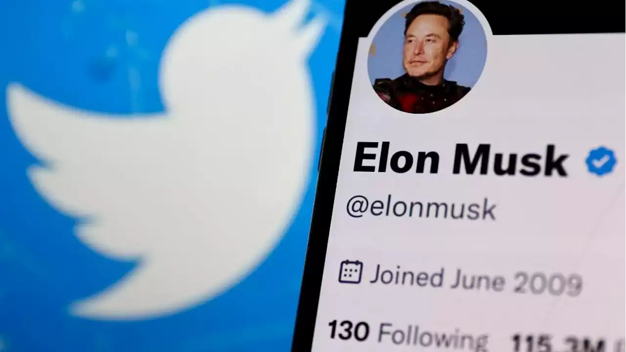 Twitter : Elon Musk reporte sine die le lancement du nouveau système d'authentification du réseau social