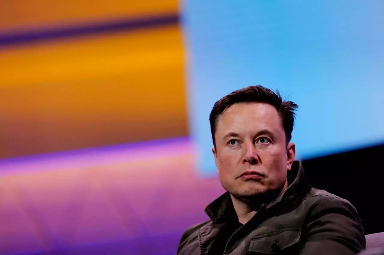 Tech firms pitch anti-Elon Musk management style in bid to woo former Twitter staff