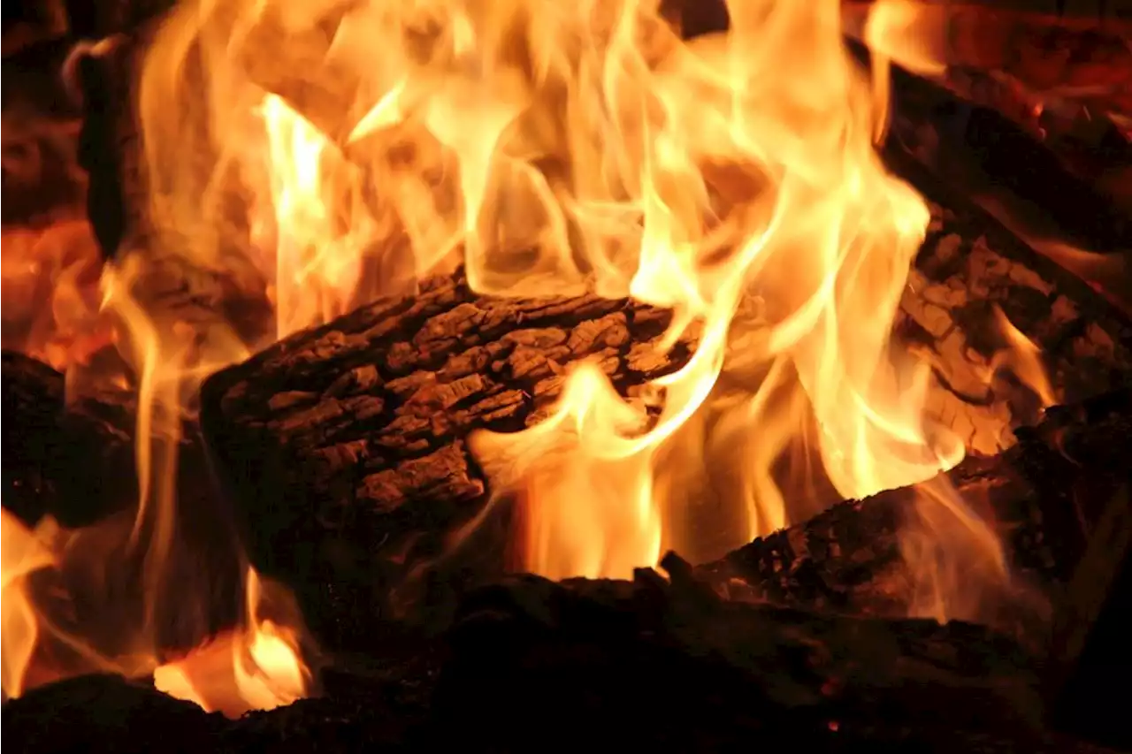 Gemütlichkeit und Wärme: Was es beim Heizen mit Holz zu beachten gilt - idowa