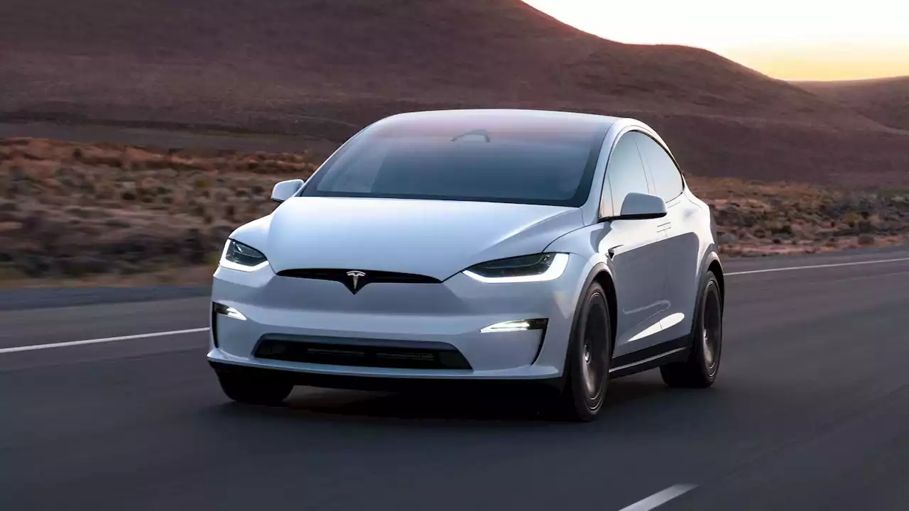 Tesla Owner Must Pay Damages After Calling Model X 'Suicide Toy'