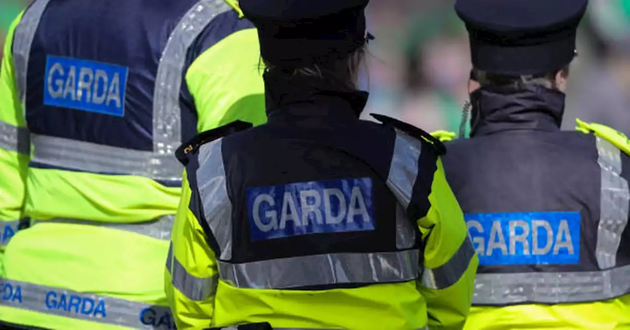 Burglary suspects fleeing house ran into gardaí with one caught with crowbar