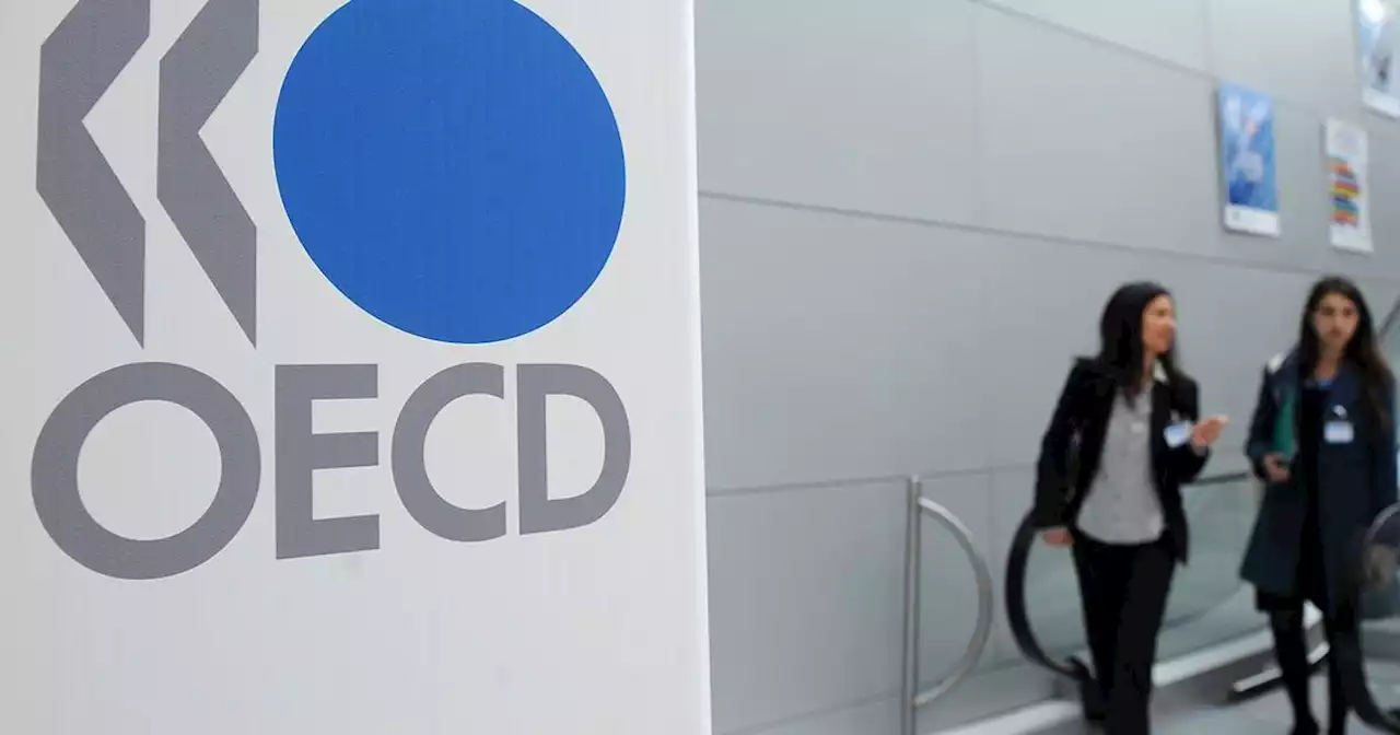 Leading economies sliding into recession with inflation to hold back Irish consumer demand, OECD warns