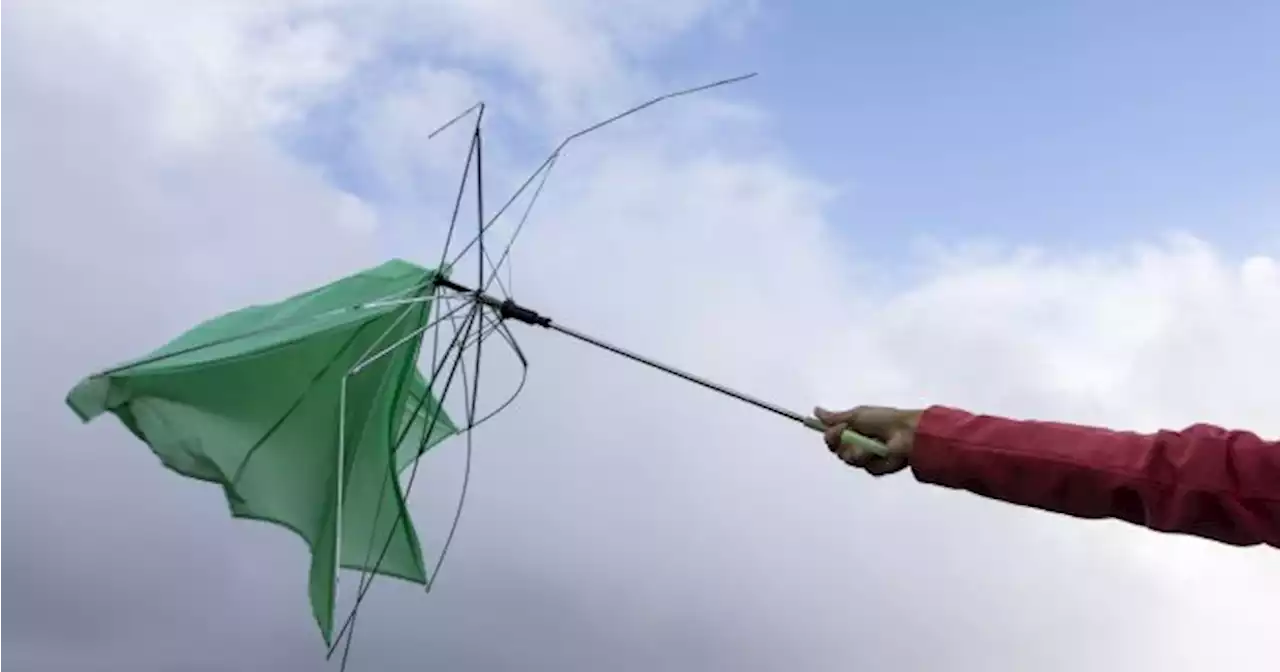 Seven counties hit with weather warnings as 'very strong' winds expected | JOE.ie