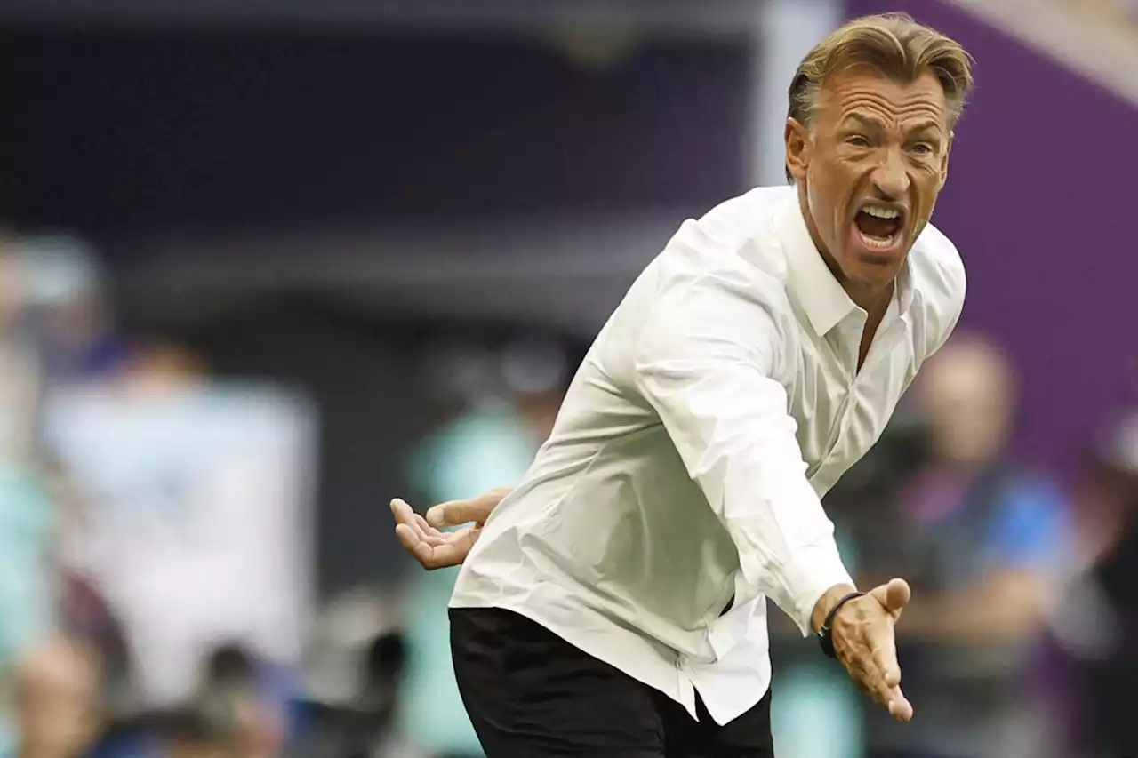 Conheça Hervé Renard, técnico que deu nó tático e surpreendeu a Argentina na Copa