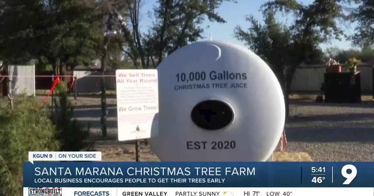 Santa Marana Tree Farms prepares for busy season ahead