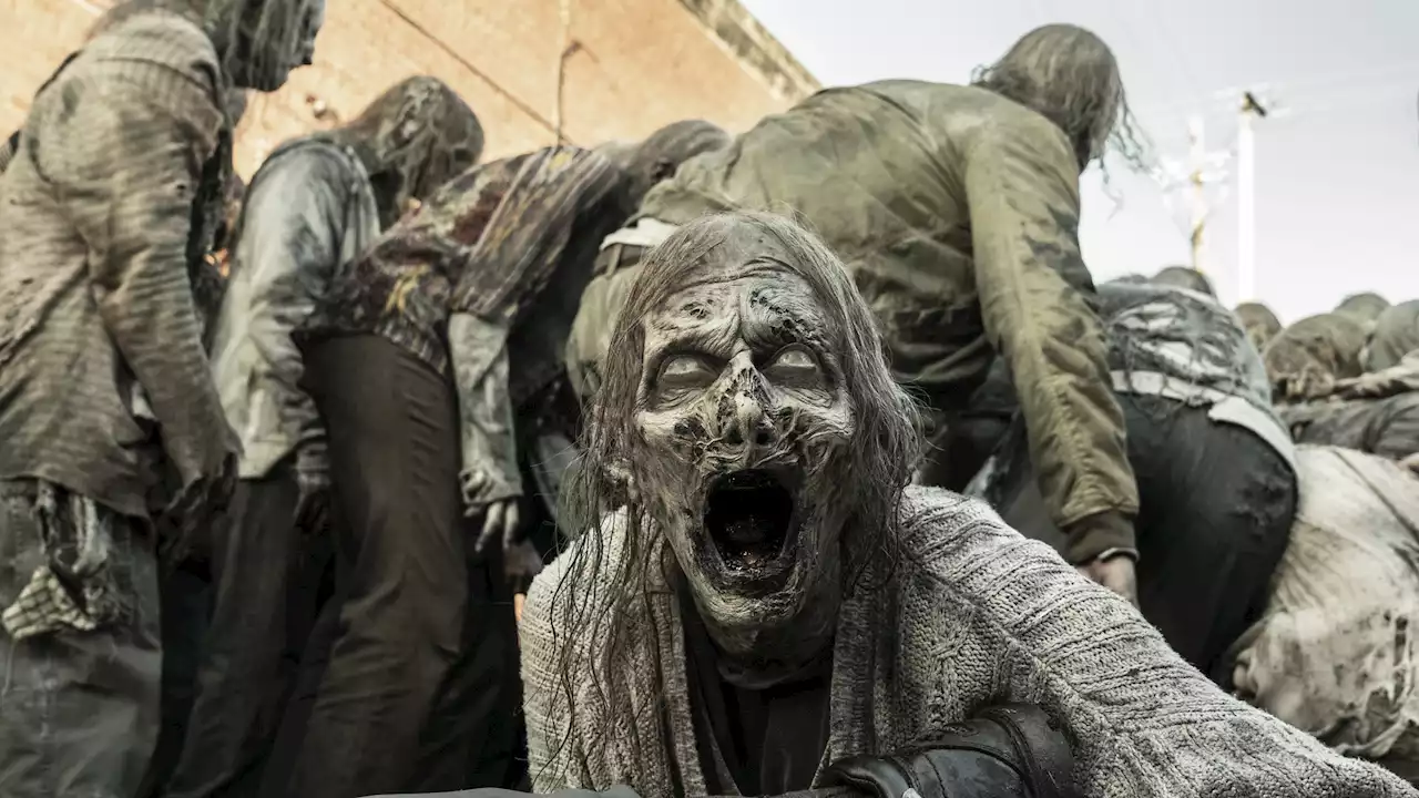 Kurioser Grund: Nur deswegen starb [Spoiler] im „The Walking Dead“-Finale