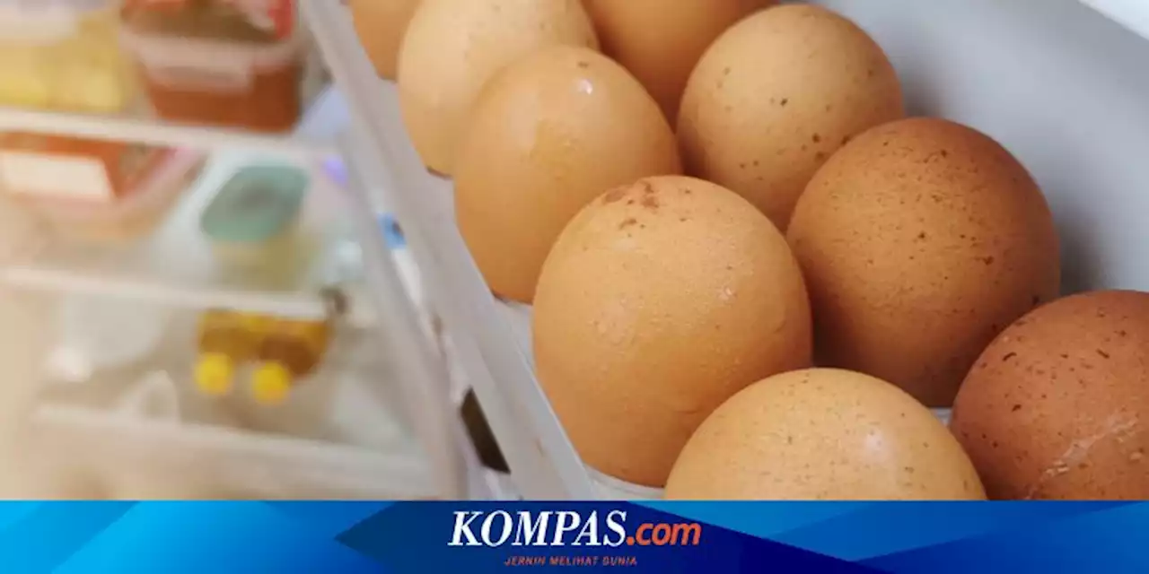 Telur Sebaiknya Disimpan di Kulkas, Mengapa?