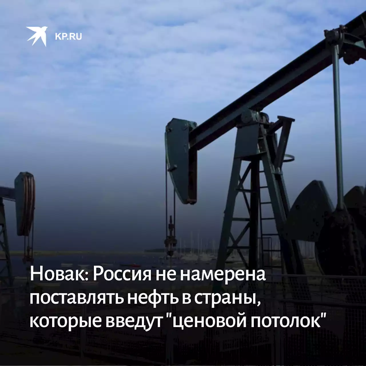 Новак: Россия не намерена поставлять нефть в страны, которые введут 'ценовой потолок'