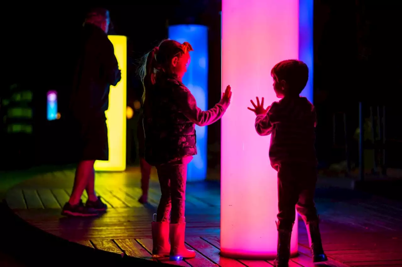 Enchanted Forest at Descanso Gardens wows visitors and lights up holidays