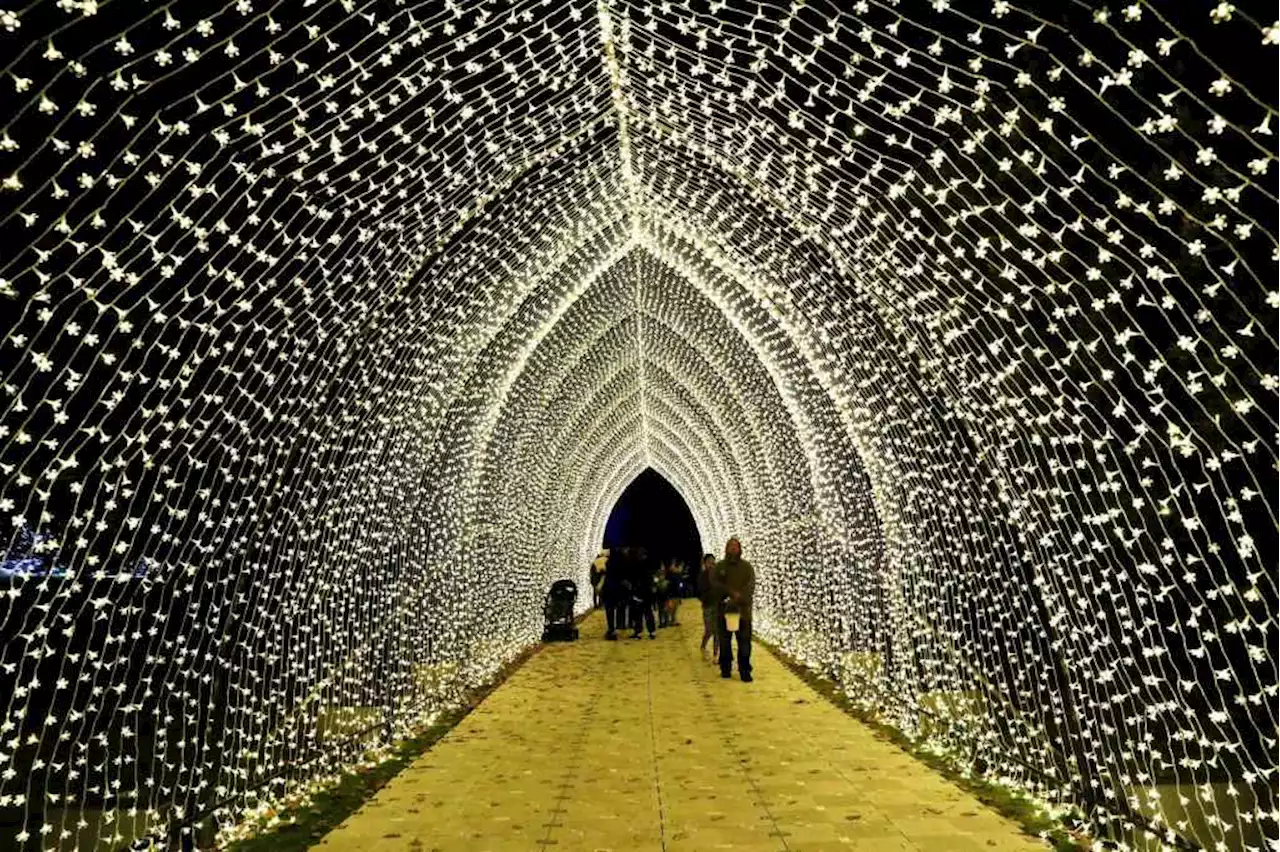 What it’s like inside the L.A. Arboretum’s elaborate holiday light display