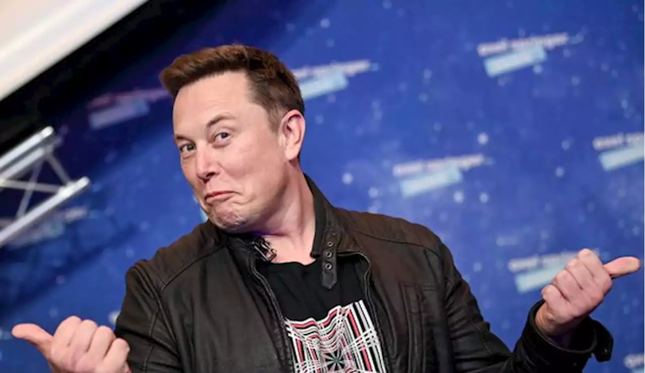 Twitter : avec Donald Trump, Elon Musk relance le business de la colère