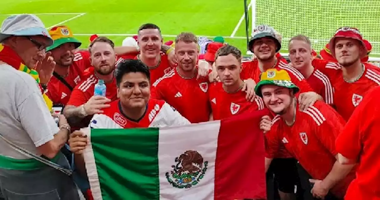 Fan de Tiburones Rojos del Veracruz se coló entre aficionados de Gales