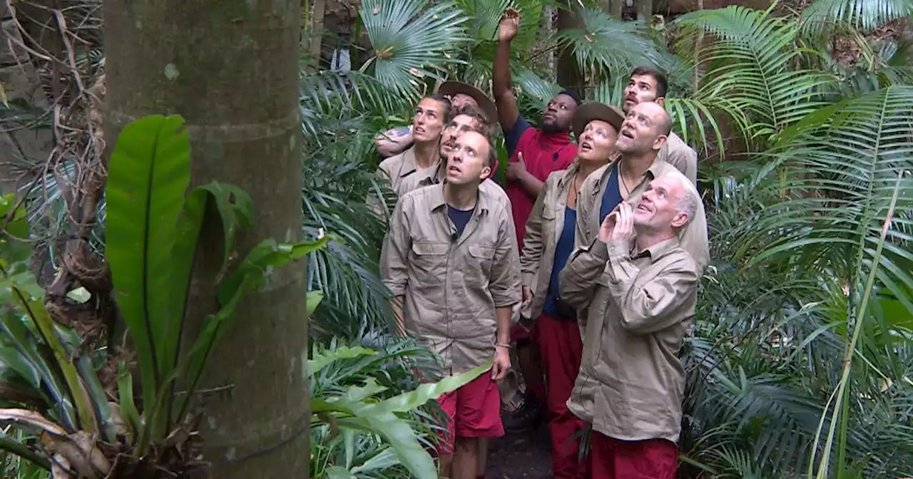 I'm A Celeb viewers spot new voting row as campmate needs to be 'protected'