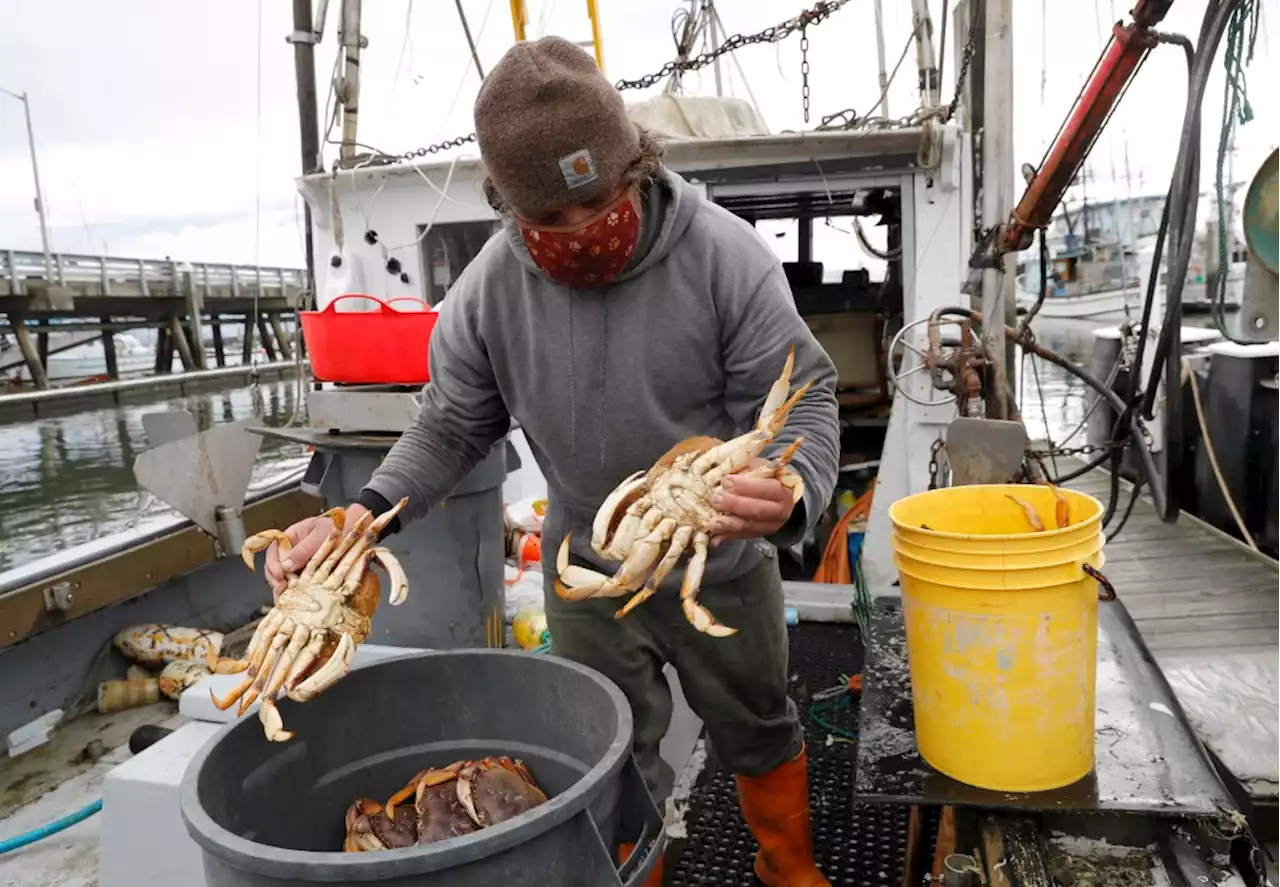 UPDATE: California’s Dungeness crab season delayed until Dec. 16 — and possibly longer