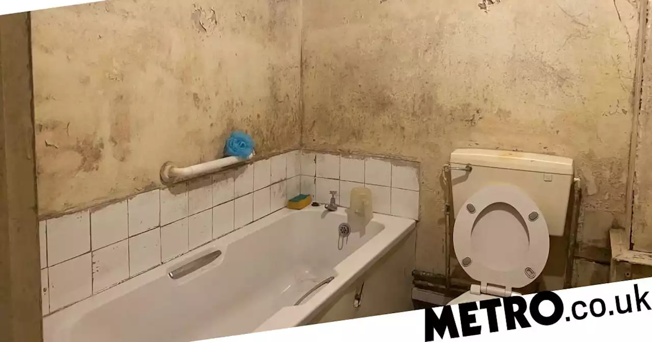 More children could die because of mouldy housing conditions, campaigners warn