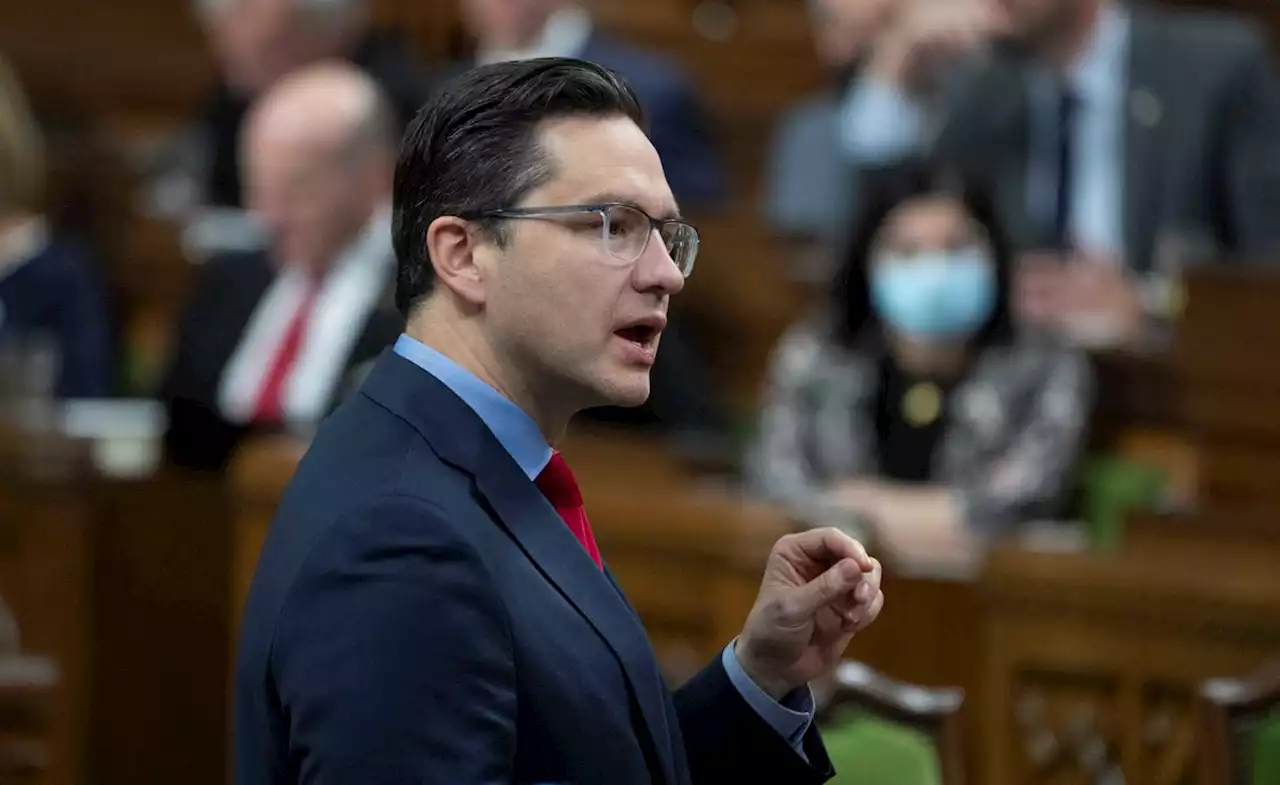 Critics may scoff at Pierre Poilievre, but any politician opposing him should be concerned