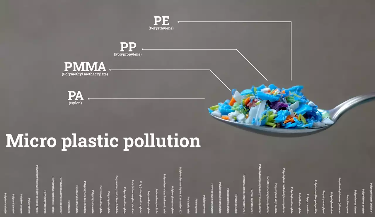 Researchers find an abundance of microplastics in placentas and meconium samples