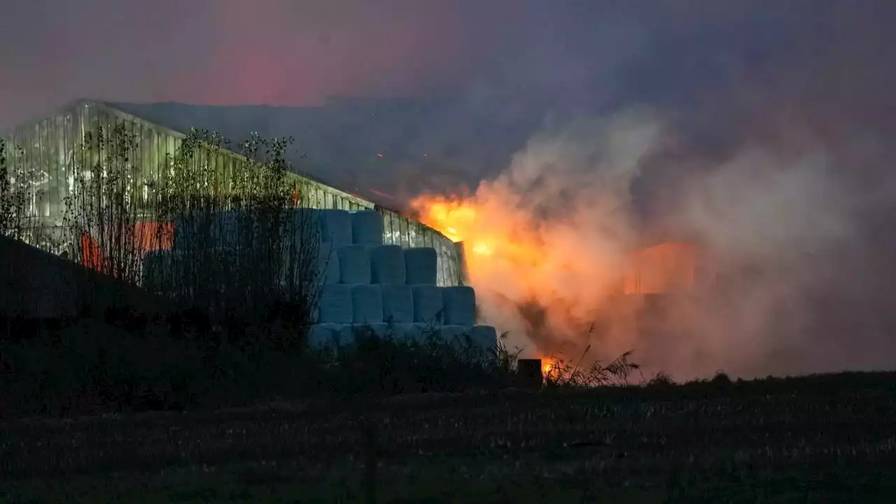 Honderden geiten dood bij uitslaande brand in stal