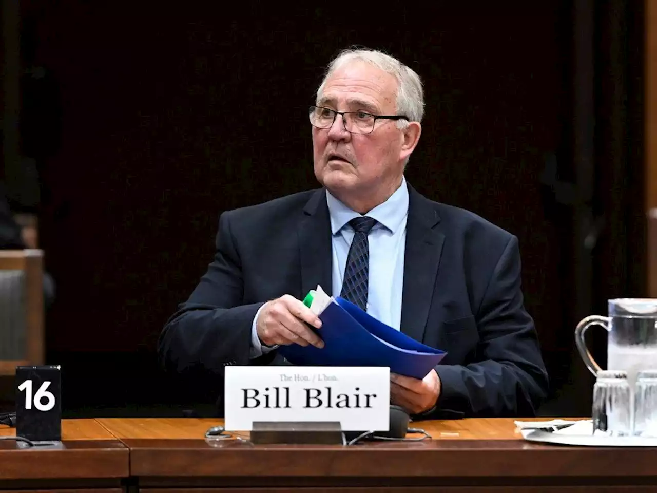 'Freedom Convoy' rose to national emergency when 'critical' border crossings were closed, Bill Blair testifies