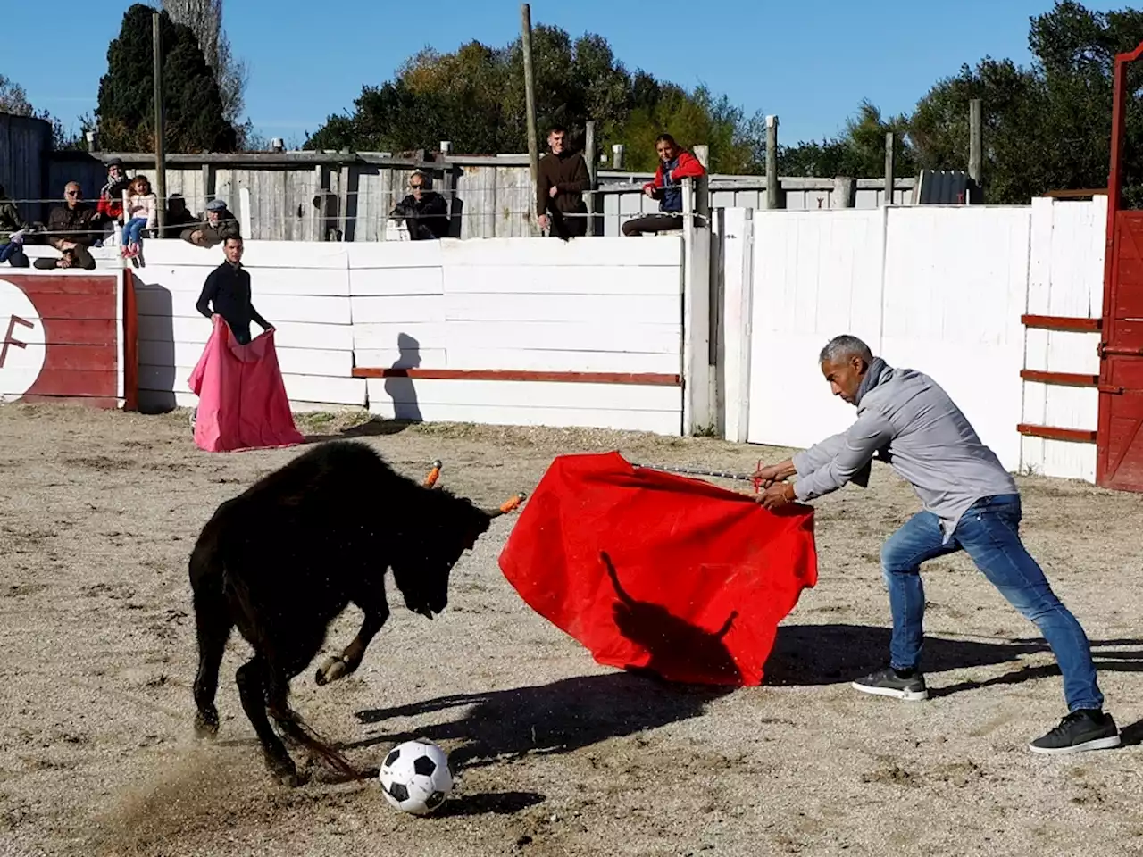 ART OR TORTURE? France debates banning bullfighting