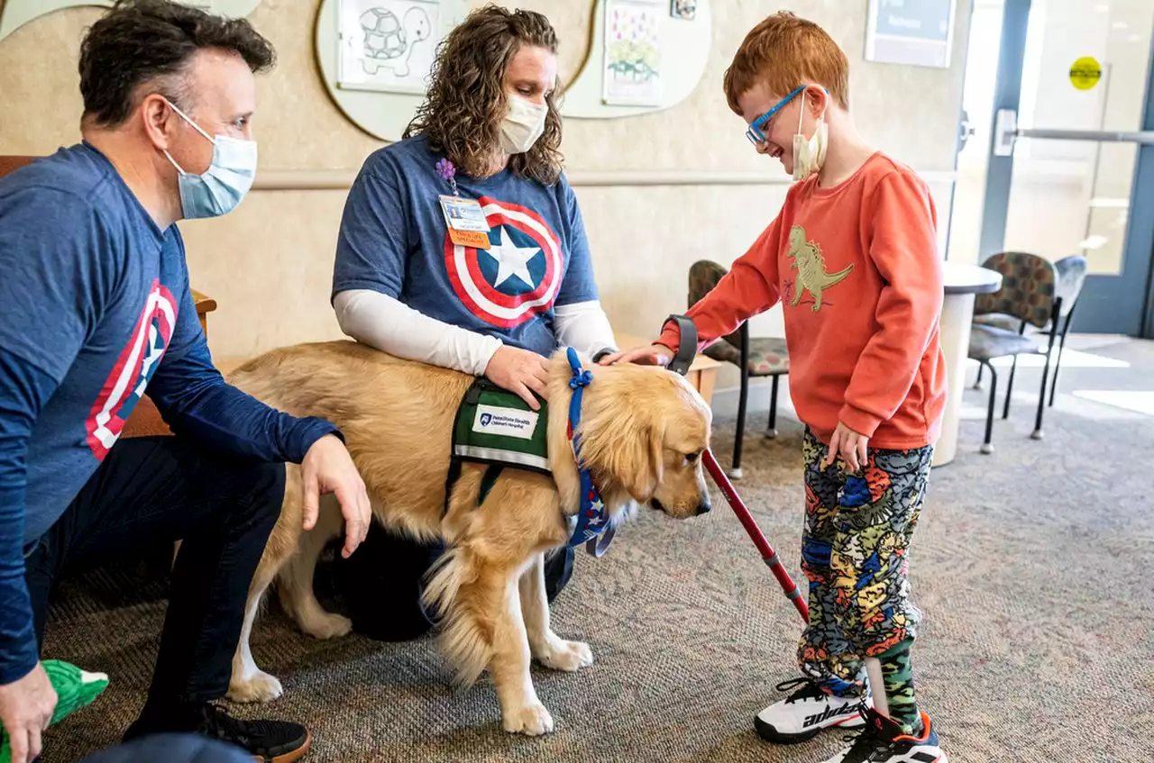 Meet the new dog who joined Penn State Health Children’s Hospital facility to assist young kids: Watch