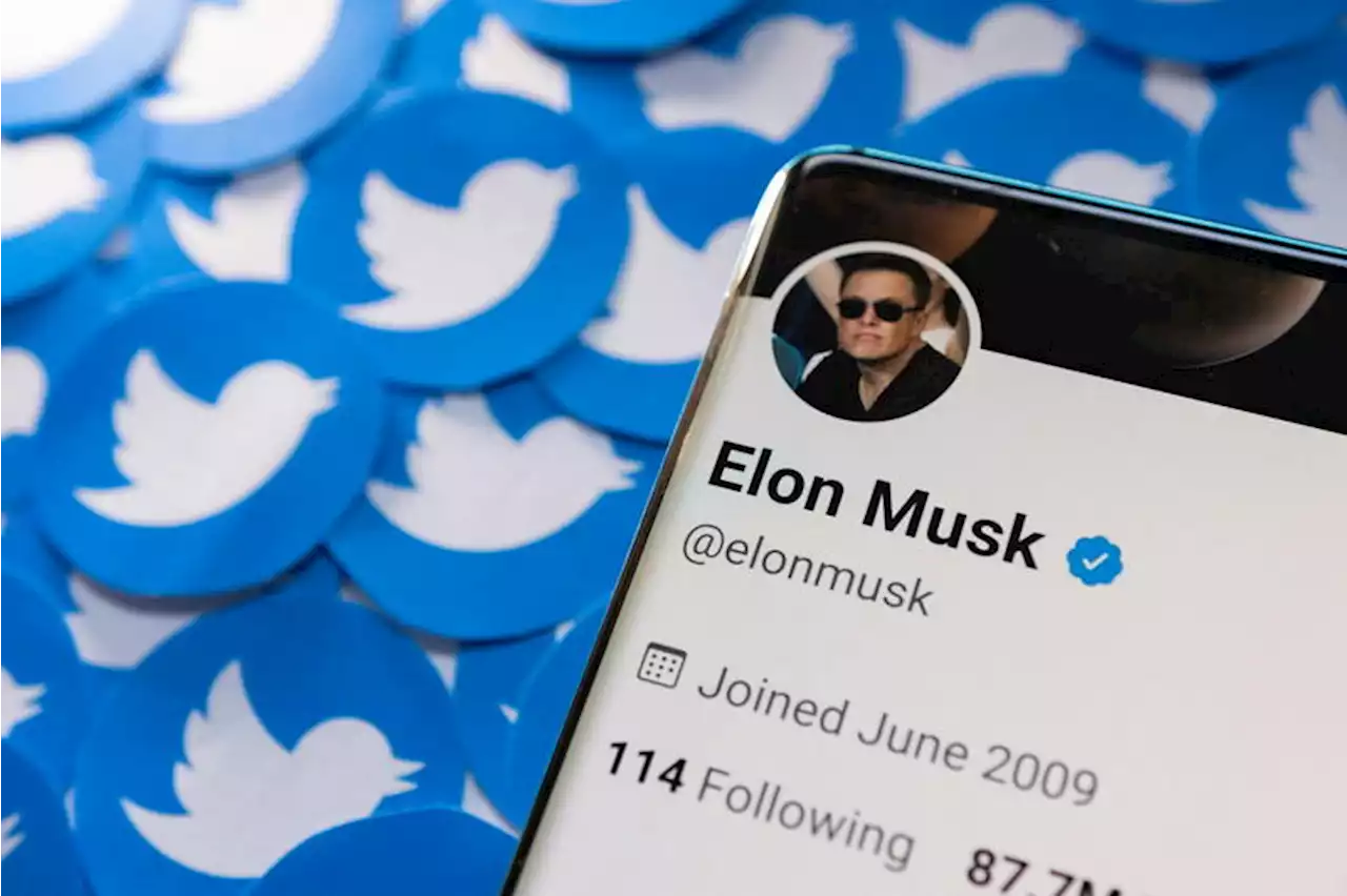 Musk says Twitter to hold off relaunching blue check verification