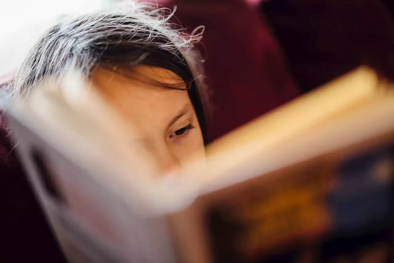 New beta reader program launching at Trenton library | SaltWire