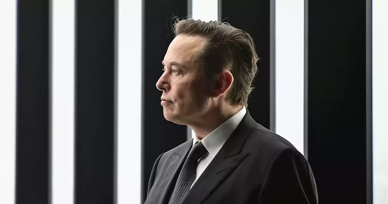 Elon Musk anuncia que verificación de pago en Twitter será suspendida indefinidamente