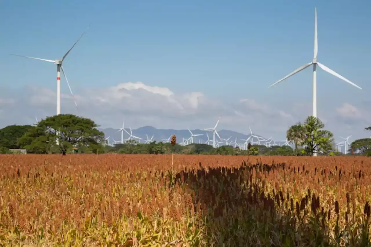 Energética española deberá devolver sus tierras a una comunidad indígena de Oaxaca