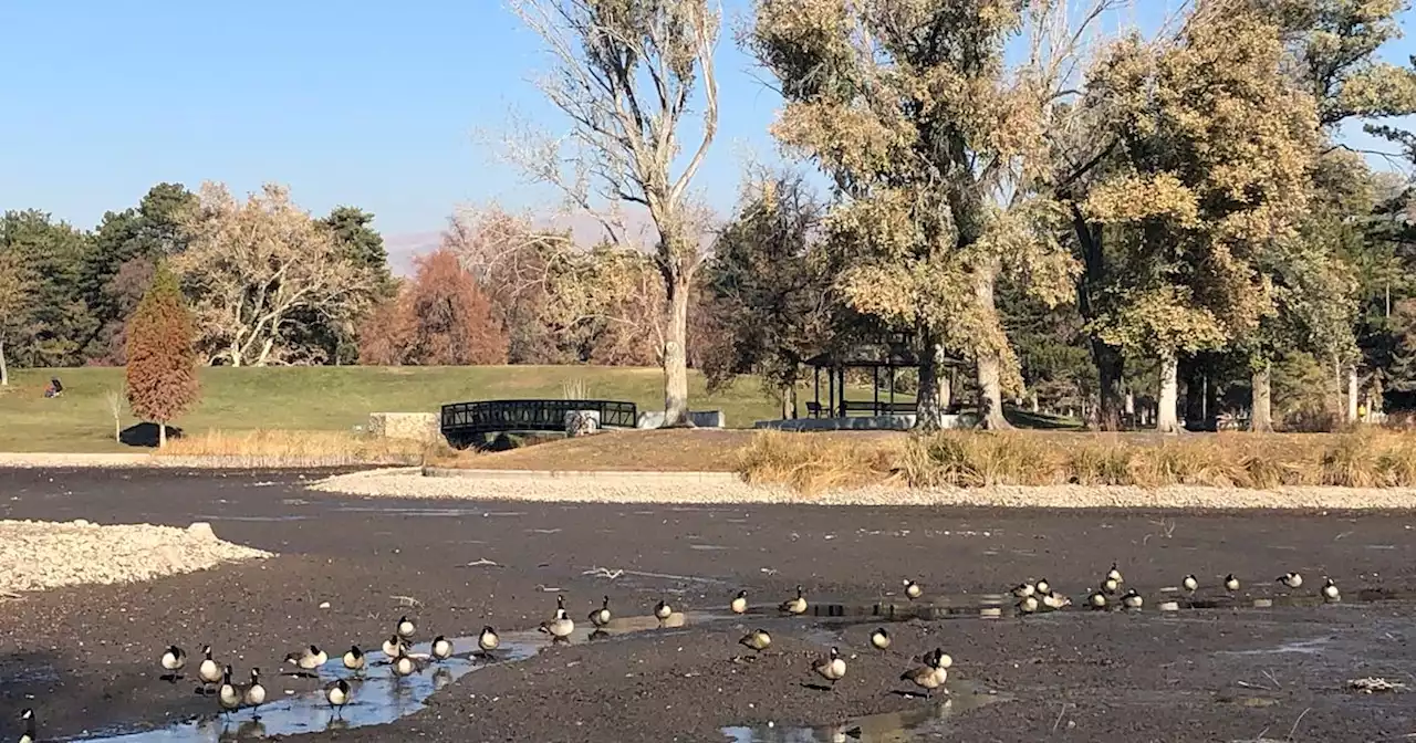 Why is the Liberty Park pond almost empty?