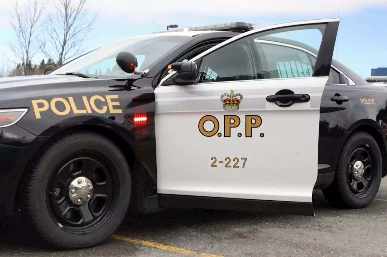 Men who fled OPP captured west of the city, police report