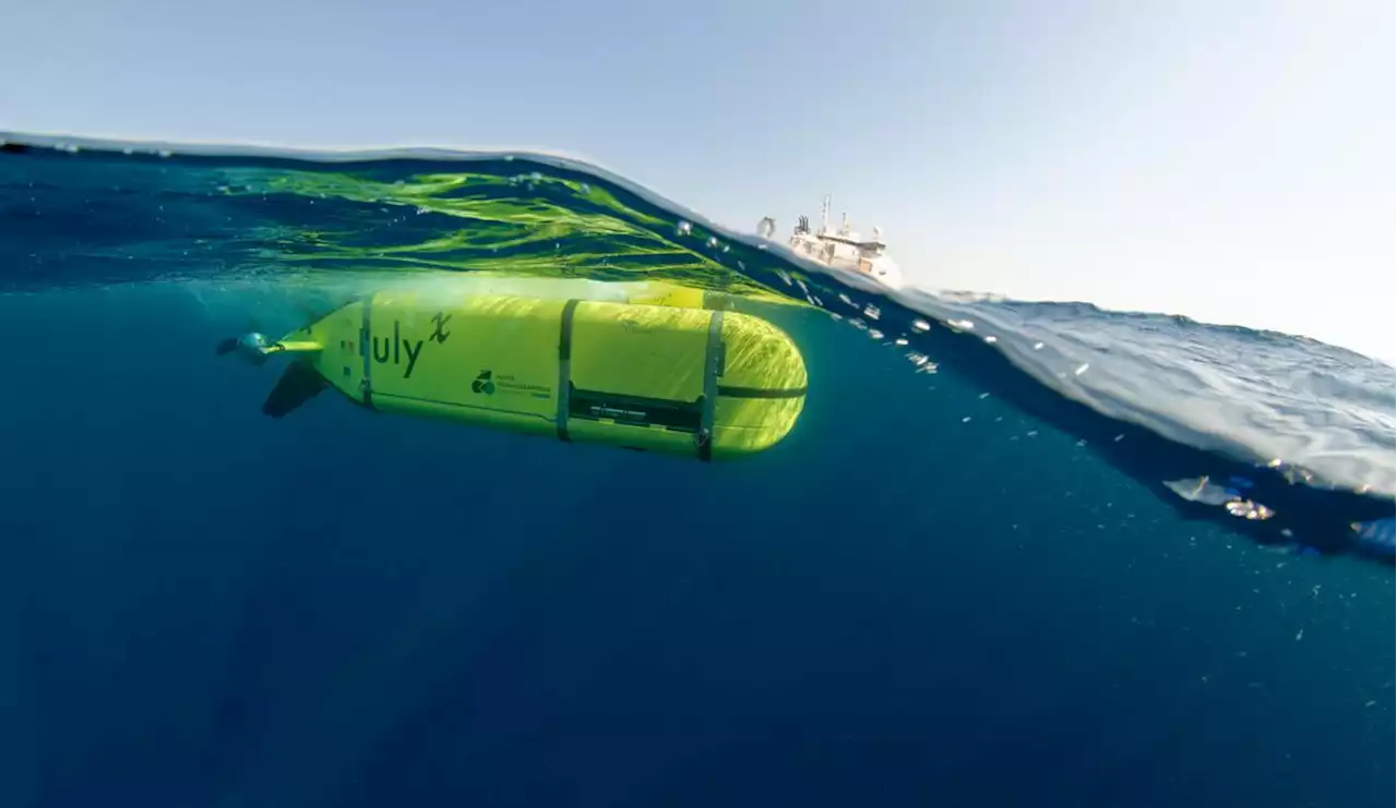 Exploitation minière des grands fonds marins : chasse aux trésors ou saccage de l’environnement ?