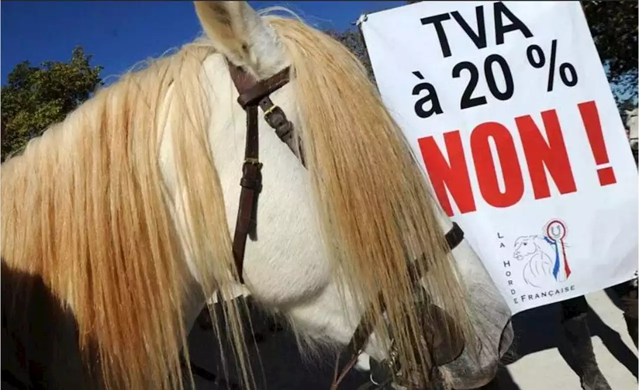 Transports collectifs, margarine et filière équine : ces produits pour lesquels le Sénat vote une baisse de TVA