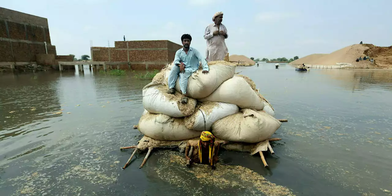 Bekämpfung von Schäden durch Klimawandel: Pionier des Katastrophenschutzes