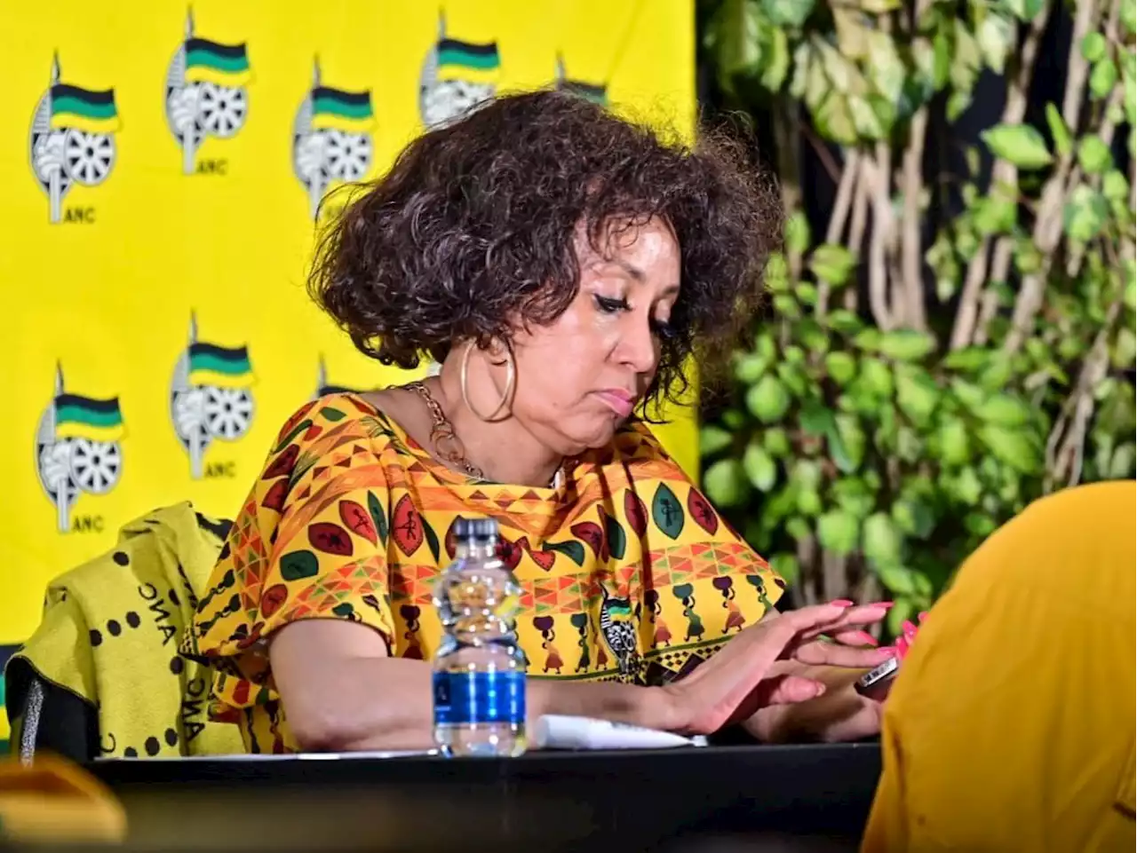 How ANC branches shunned Dlamini-Zuma and Sisulu | The Citizen