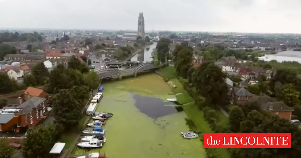 Lincolnshire waterways stuck in a duckweed loop