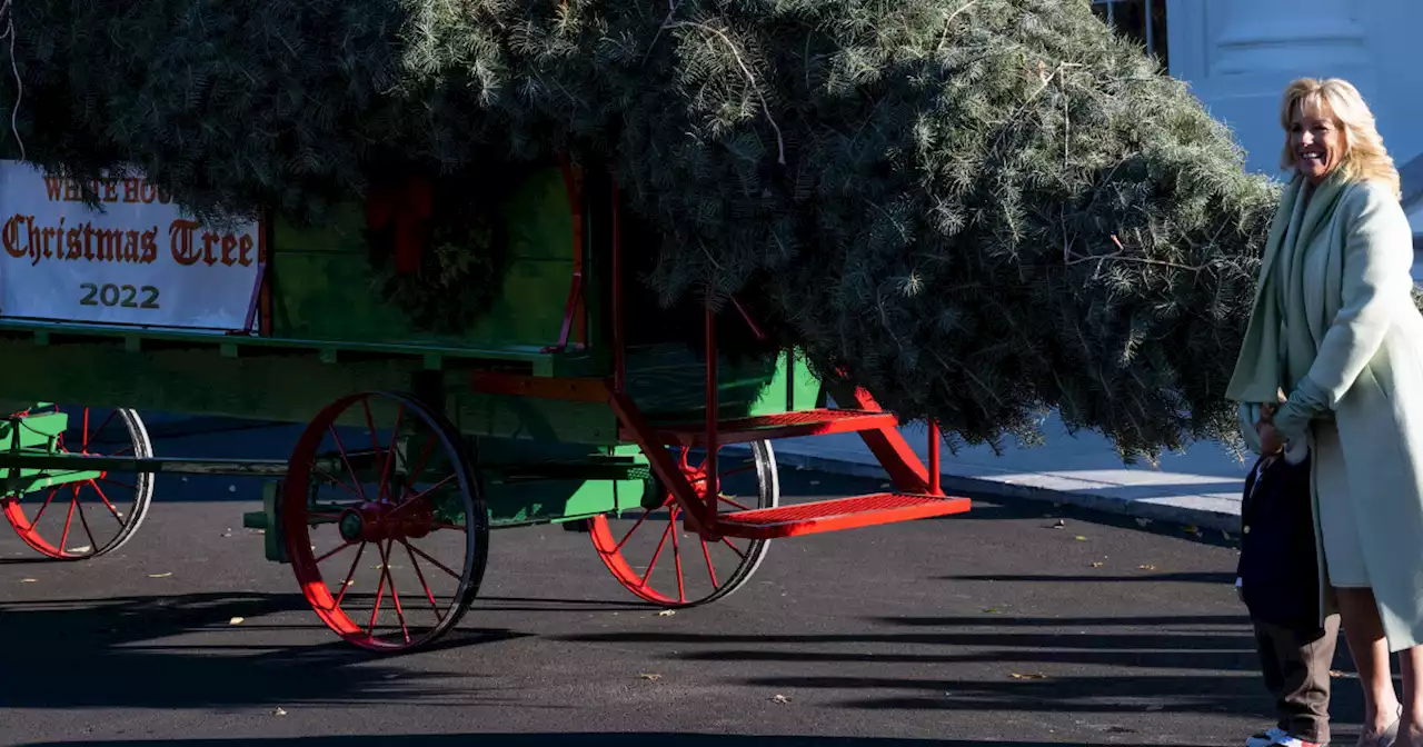 Jill Biden joined by grandson Beau, 2, to receive the 2022 White House Christmas tree