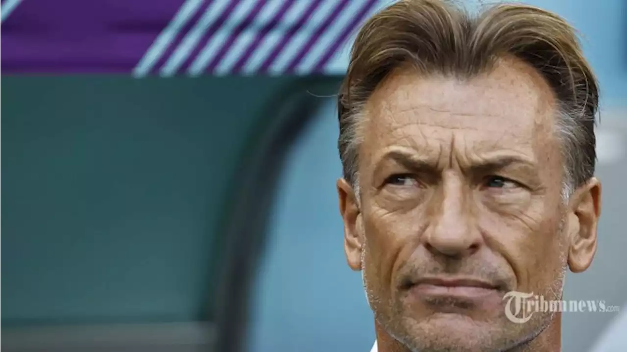 Komentar Herve Renard seusai Arab Saudi Kalahkan Argentina: Hal Gila Bisa Terjadi - Tribunnews.com