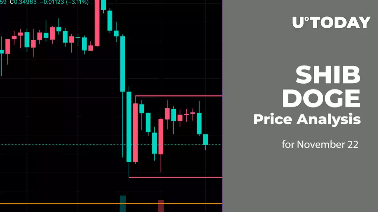 SHIB and DOGE Price Analysis for November 22