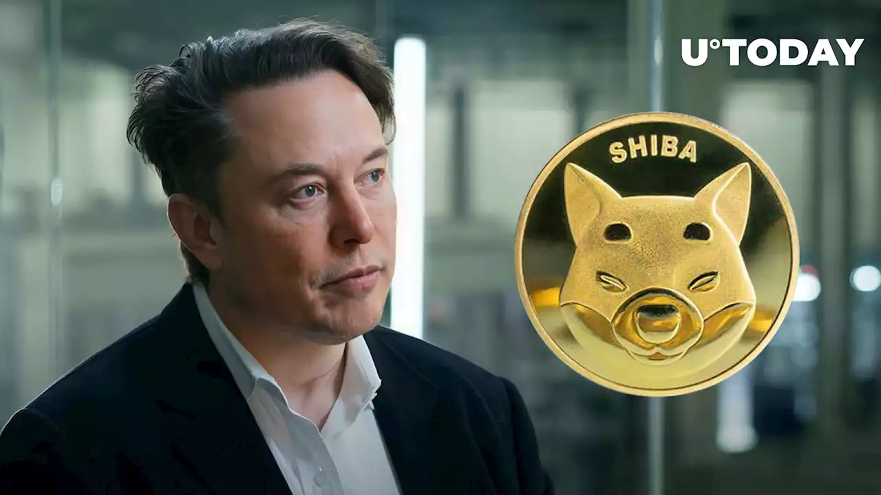 Shibburn Calls Elon Musk to Action, Here's What It's About