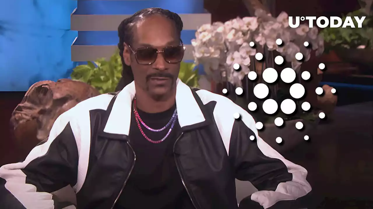 This Cardano NFT Is up 80% in Volume After Snoop Dogg's New Video