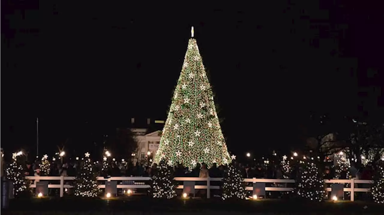 Glow Up: Christmas Tree and Menorah Lightings Around DC - Washingtonian