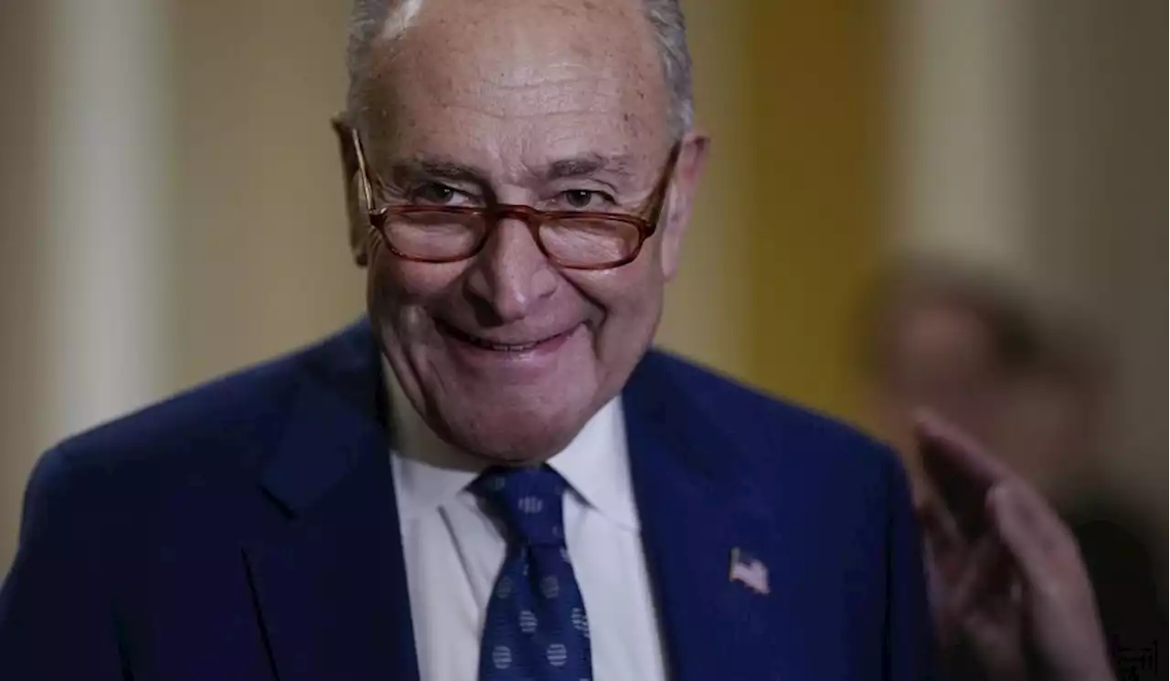 Flip-flop Schumer on illegal immigration, then and now