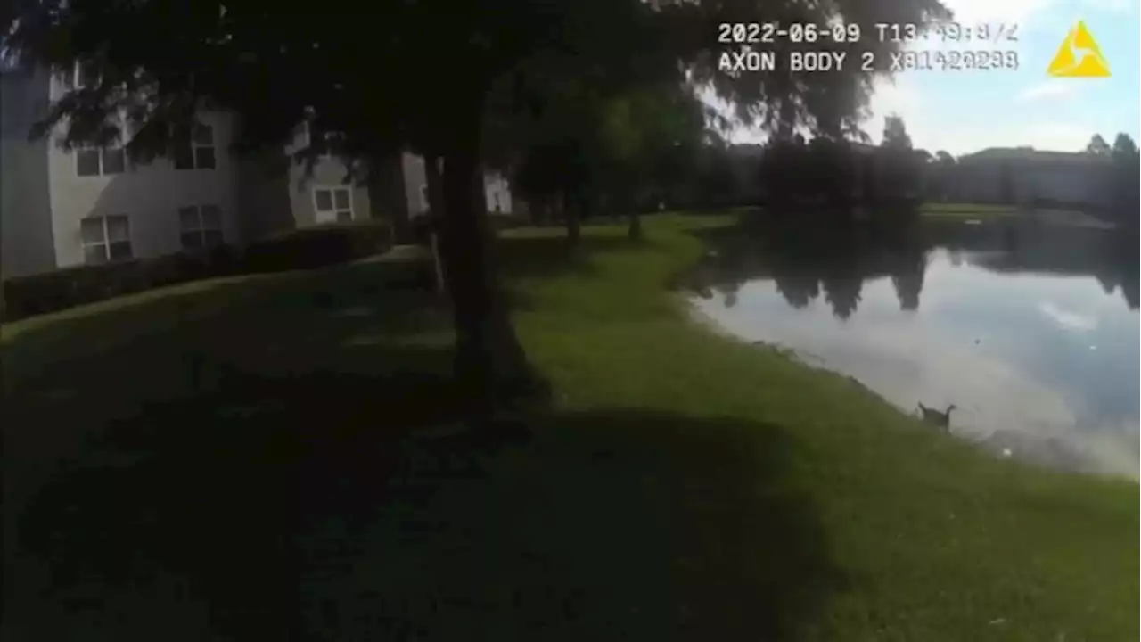 Jacksonville Sheriff’s Office releases bodycam video showing officer rescuing infant who nearly drown in retention pond