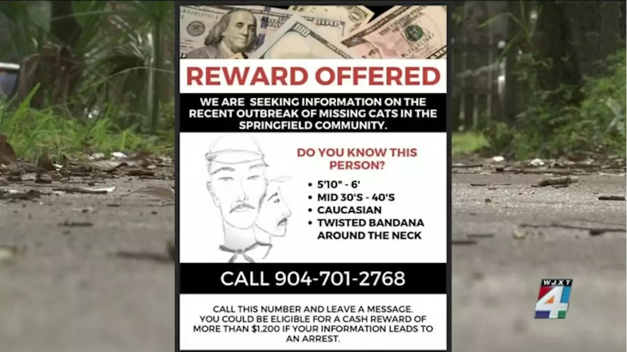 Springfield resident spots man fitting description of person sought in disappearance of cats