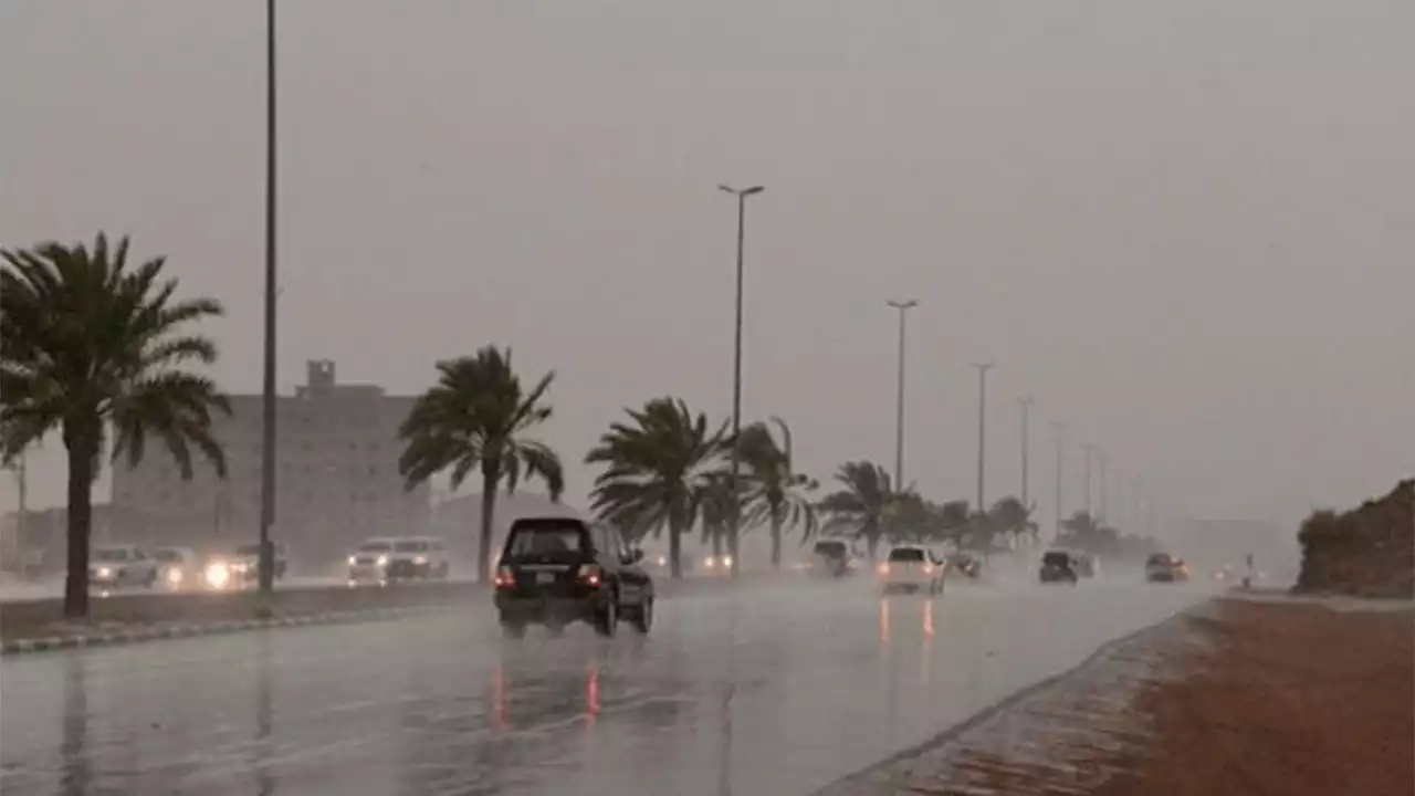 محلل طقس: توقعات بهطول أمطار متوسطة إلى غزيرة على جدة (فيديو)