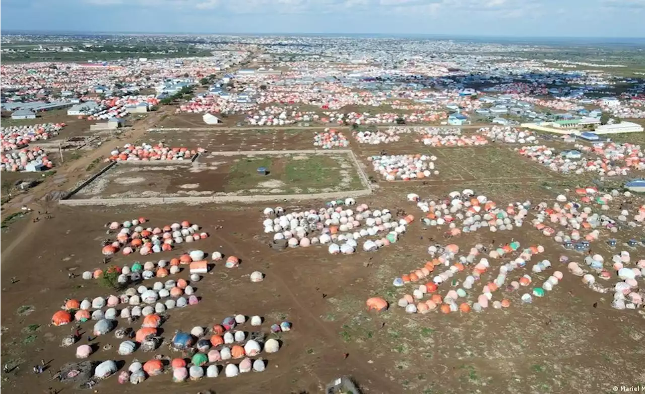 Somalia's Food Crisis Is Claiming Young Lives